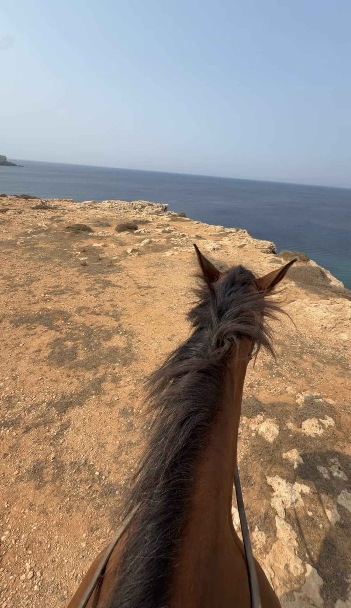 Paardrijden langs de ruige kust van Malta
